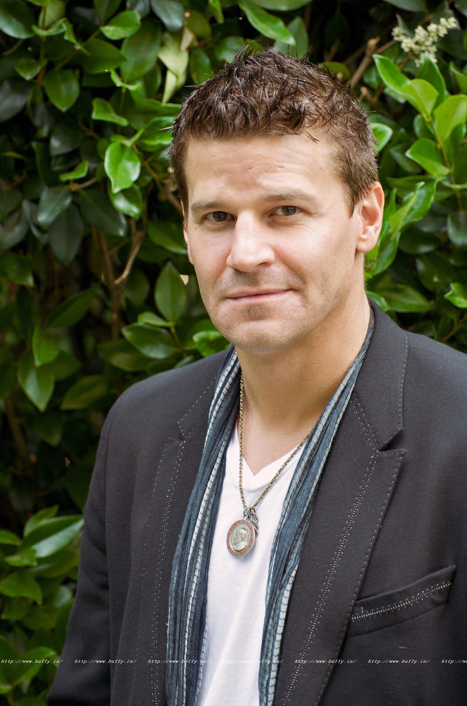 david boreanaz bones
