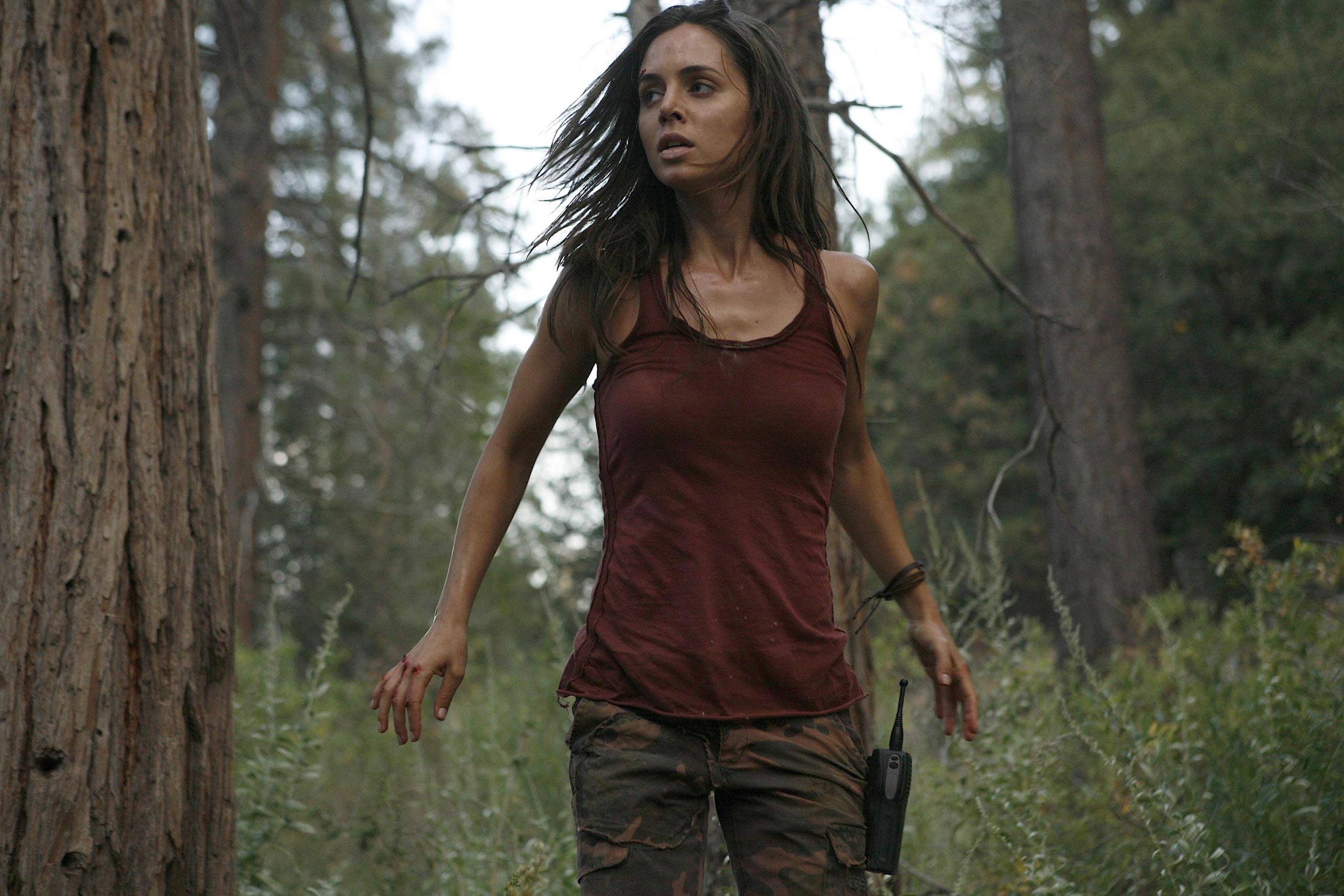 tv series dollhouse