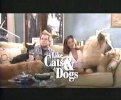 IMG/jpg/charisma-carpenter-like-cats-and-dogs-pilot-screencaps-04.jpg