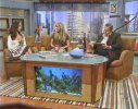 IMG/jpg/gina-torres-el-gordo-y-la-flaca-tv-show-screencaps-mq-10.jpg