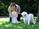 IMG/jpg/julie-benz-with-dogs-august-13-2010-paparazzi-06.jpg