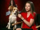 IMG/jpg/michelle-trachtenberg-aol-rising-star-video-interview-screencaps-lq- (...)