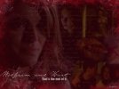 IMG/jpg/buffy-and-angel-cast-wallpapers-335.jpg
