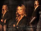 IMG/jpg/buffy-and-angel-cast-wallpapers-390.jpg