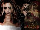 IMG/jpg/buffy-and-angel-cast-wallpapers-from-watchersdivine-gq-02.jpg