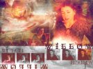 IMG/jpg/buffy-angel-cast-wallpapers-449.jpg