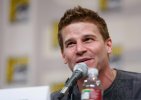 IMG/jpg/david-boreanaz-2008-comic-con-bones-panel-hq-01-1500.jpg