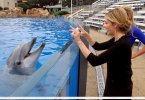 IMG/jpg/sarah-michelle-gellar-seaworld-san-diego-september-2008-gq-02.jpg