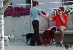 IMG/jpg/alyson-hannigan-alexis-denisof-dogs-coffee-11-0750.jpg