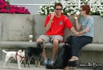 IMG/jpg/alyson-hannigan-alexis-denisof-dogs-coffee-06-1500.jpg