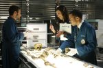 IMG/jpg/david-boreanaz-bones-tv-series-4x01-02-stills-gq-07.jpg