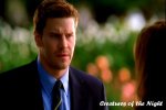 IMG/jpg/david-boreanaz-bones-tv-series-season-1-dvd-screencaps-gq-36.jpg