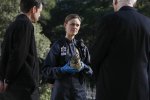 IMG/jpg/david-boreanaz-bones-tv-series-stills-2x17-hq-04-1500.jpg