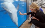 IMG/jpg/sarah-michelle-gellar-seaworld-san-diego-september-2008-hq-04-1500.j (...)