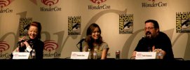 IMG/jpg/summer-glau-terminator-scc-tv-series-wonder-con-2009-mq-09.jpg