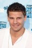 IMG/jpg/david-boreanaz-2008-fox-networks-summer-tca-party-mq-03.jpg