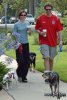 IMG/jpg/alyson-hannigan-alexis-denisof-dogs-coffee-20-1500.jpg