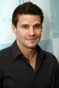 IMG/jpg/david-boreanaz-platinum-guild-international-usa-party-hq-01-1500.jpg (...)