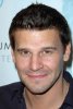 IMG/jpg/david-boreanaz-platinum-guild-international-usa-party-hq-02-1500.jpg (...)