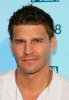 IMG/jpg/david-boreanaz-2008-fox-networks-summer-tca-party-mq-01.jpg