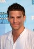 IMG/jpg/david-boreanaz-2008-fox-networks-summer-tca-party-hq-04-1500.jpg