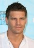 IMG/jpg/david-boreanaz-2008-fox-networks-summer-tca-party-mq-06.jpg