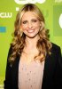 IMG/jpg/sarah-michelle-gellar-ringer-tv-series-cw-upfronts-2011-01.jpg