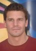 IMG/jpg/david-boreanaz-2007-teen-choice-awards-mq-03.jpg