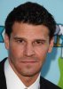 IMG/jpg/david-boreanaz-2009-fox-all-star-party-mq-18.jpg