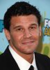 IMG/jpg/david-boreanaz-2009-fox-all-star-party-mq-01.jpg