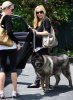 IMG/jpg/sarah-michelle-gellar-tyson-to-vet-august-19-2009-paparazzi-gq-03.jp (...)