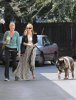 IMG/jpg/sarah-michelle-gellar-taking-tyson-to-the-vet-july-30-2009-paparazzi (...)