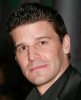 IMG/jpg/david-boreanaz-jaime-bergman-prada-los-angeles-screening-trembled-bl (...)