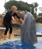 IMG/jpg/sarah-michelle-gellar-seaworld-san-diego-september-2008-hq-01-1500.j (...)
