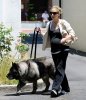 IMG/jpg/sarah-michelle-gellar-mom-dog-july-3-2009-paparazzi-hq-14.jpg