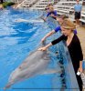 IMG/jpg/sarah-michelle-gellar-seaworld-san-diego-september-2008-hq-03-1500.j (...)